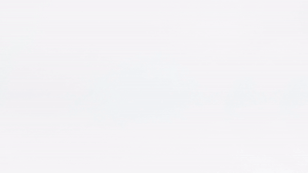 71507491